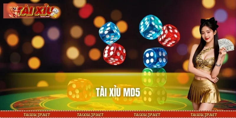 Tài Xỉu MD5 Là Gì? Cách Chơi Thắng Lớn Mỗi Ngày Từ Cao Thủ